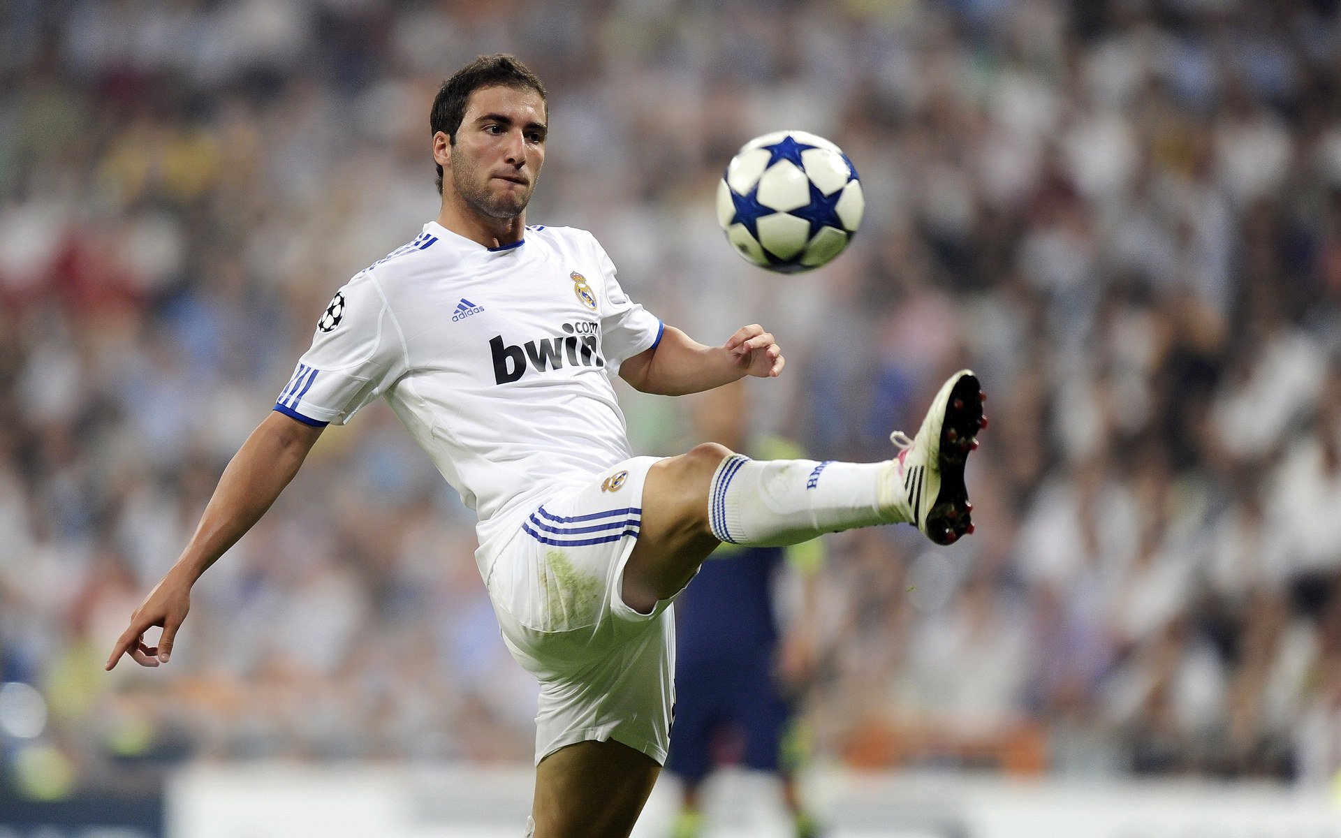 墨西哥骑手费德里科·费尔南德斯在巴黎奥运会上与“Romeo”马匹共同参赛，尽管因马匹受伤被迫退出，但展现了坚强意志。